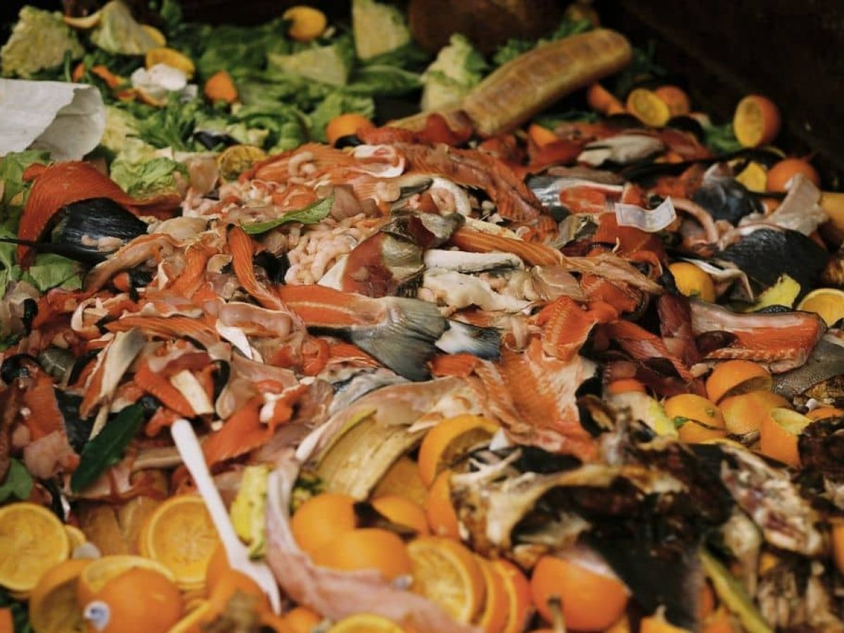 Clearer statistics the missing link in Hong Kong’s waste reduction